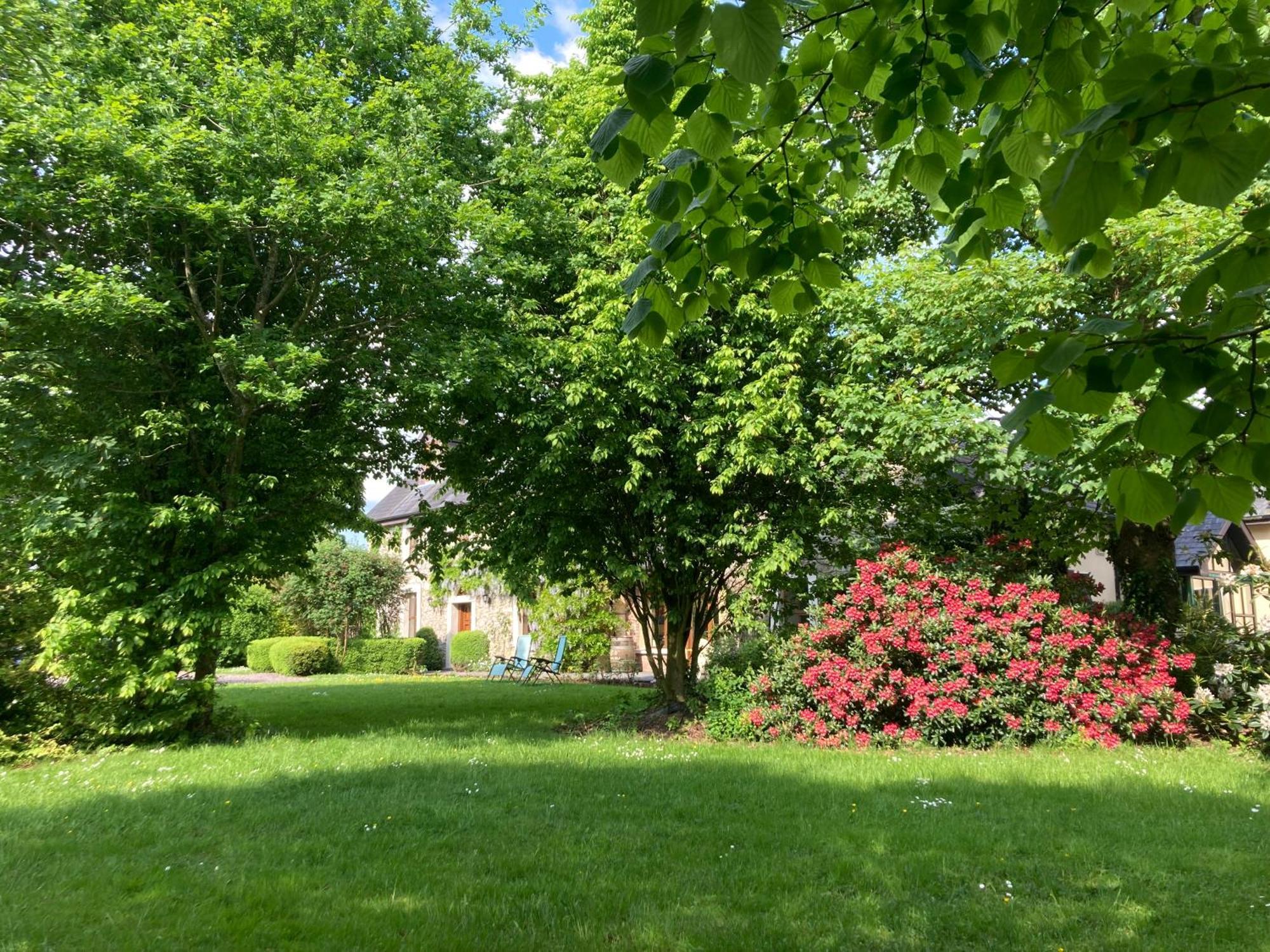 Grove House Country Rooms Shanballymore Екстер'єр фото